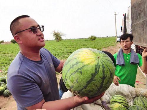 湖南娱乐吃瓜在一线